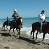 Horse riding on the beach